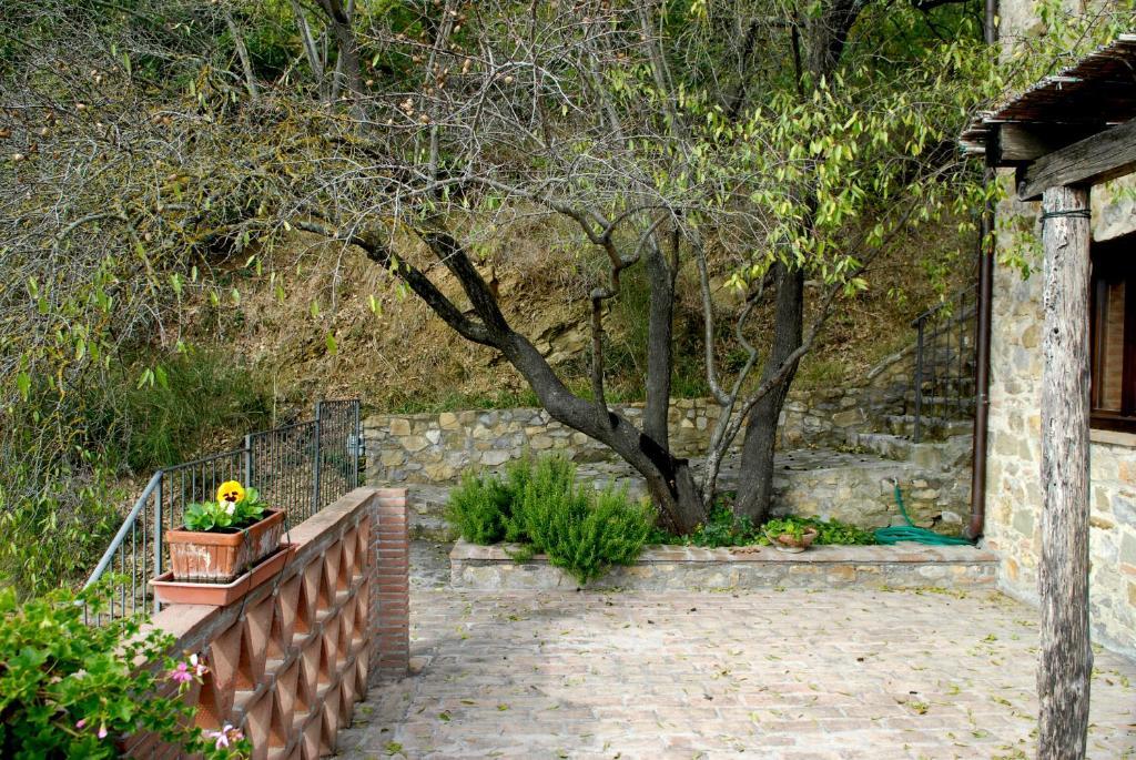 Podere Monte Petreto 산사비노 객실 사진