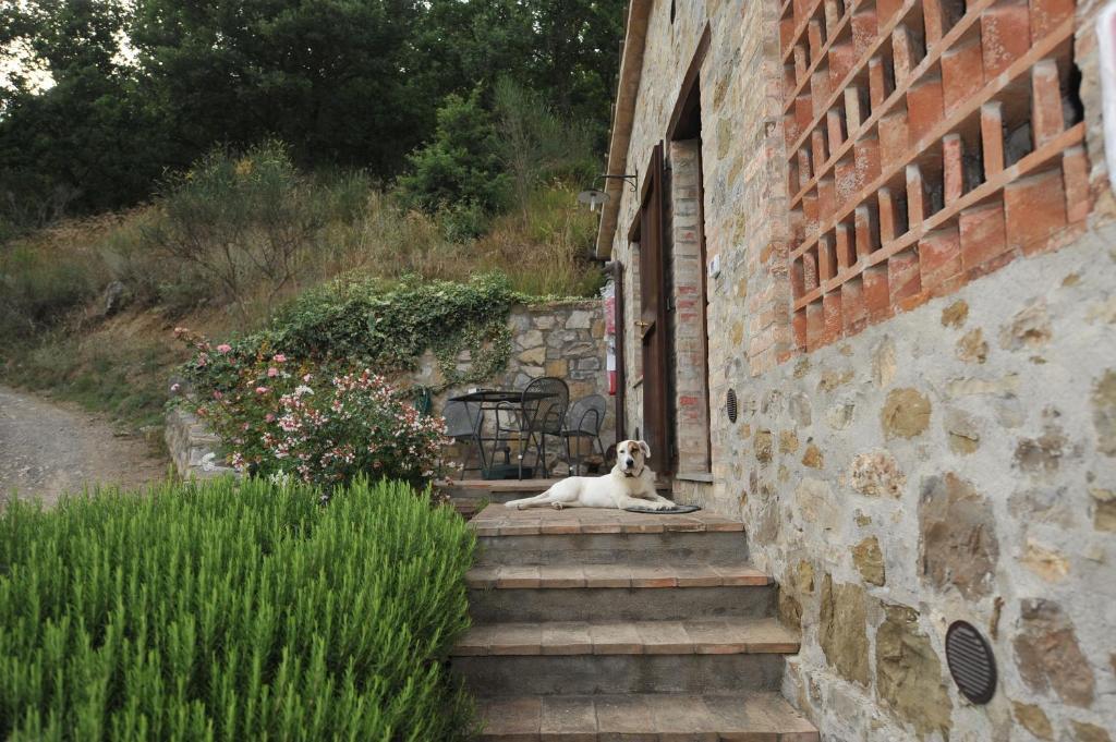Podere Monte Petreto 산사비노 객실 사진