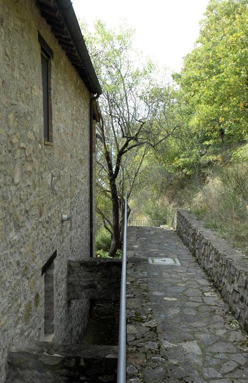 Podere Monte Petreto 산사비노 객실 사진