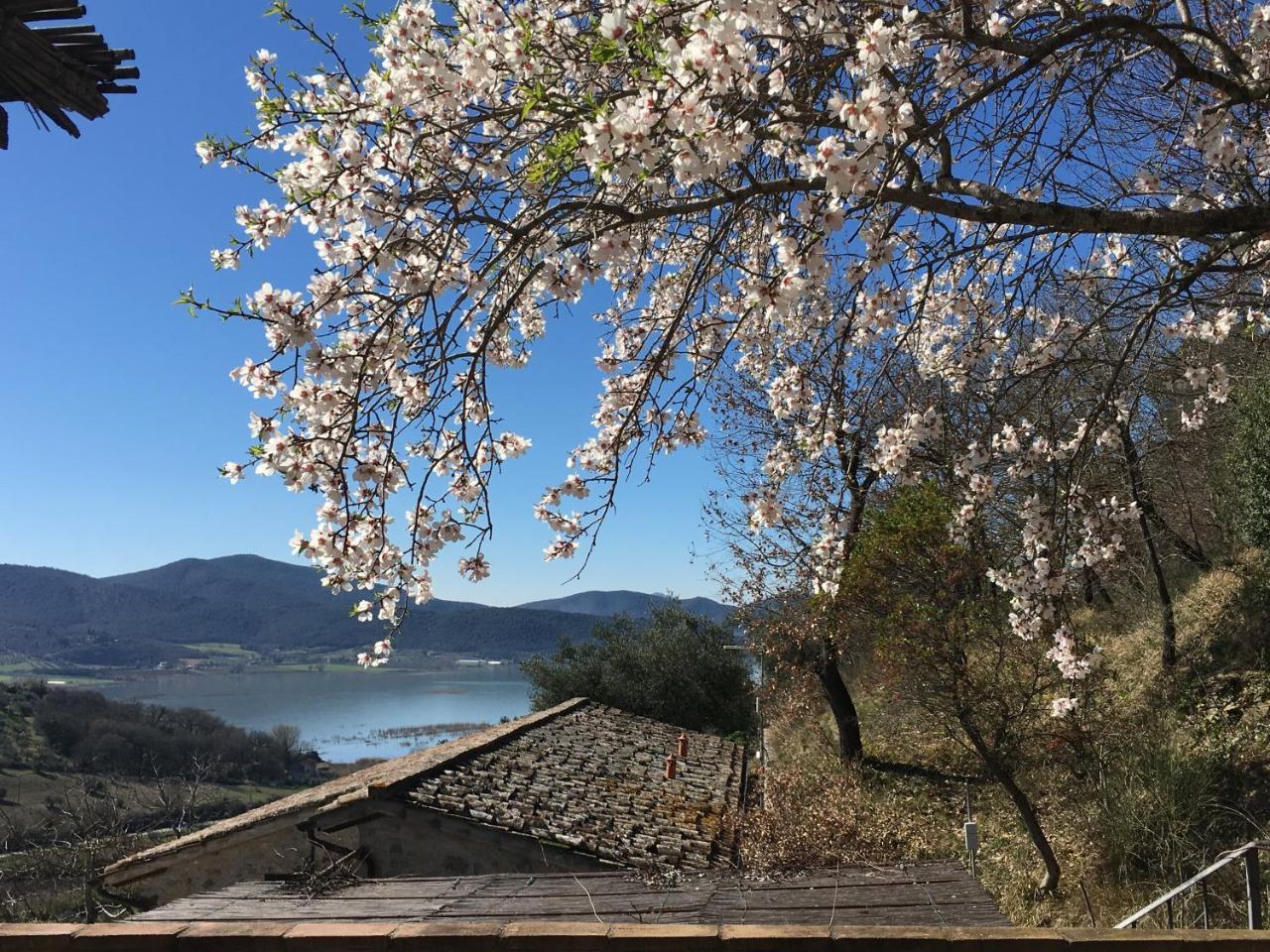 Podere Monte Petreto 산사비노 외부 사진