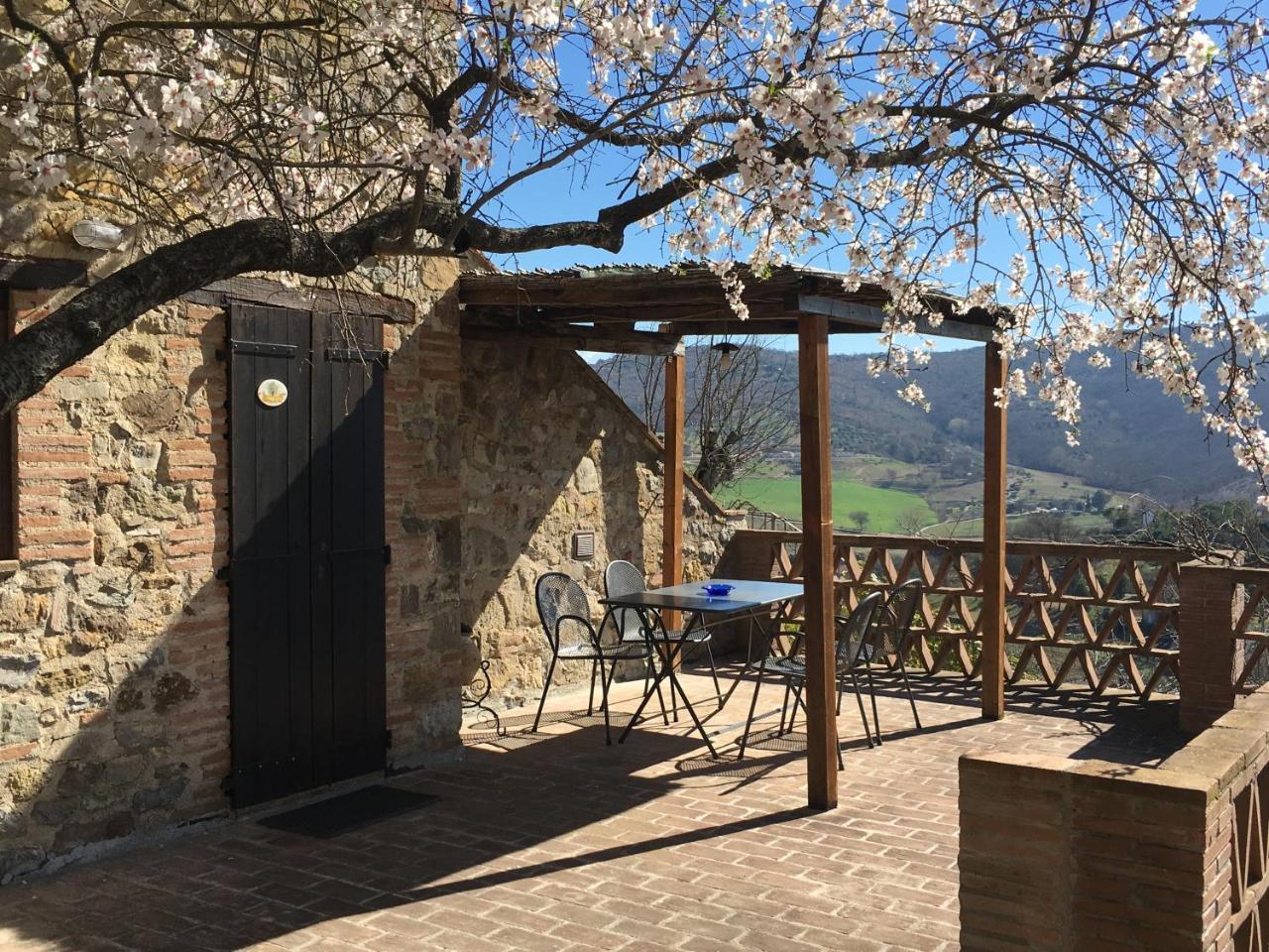 Podere Monte Petreto 산사비노 외부 사진